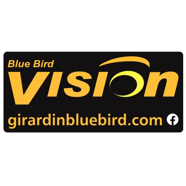DECAL "VISION  & WEB SITE"