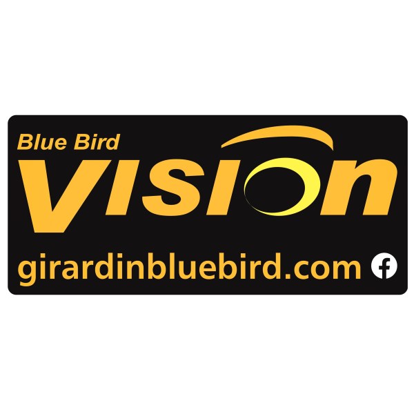 DECAL "VISION & WEB SITE"