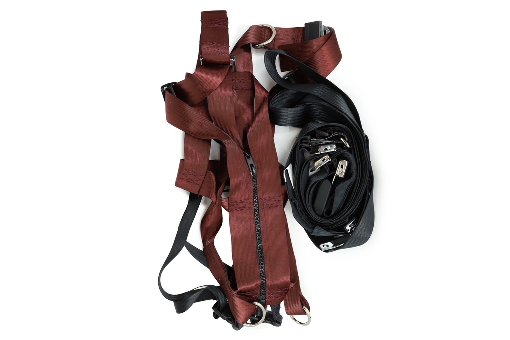 Vest & Mount,Houdini Max,Medium