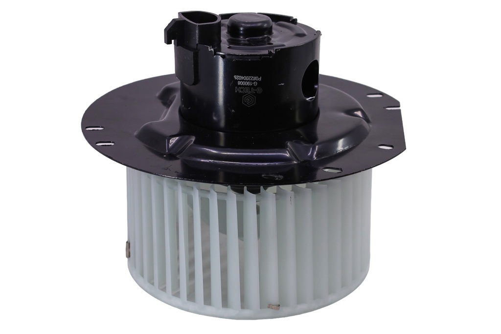 Blower, Motor, W/ Fan