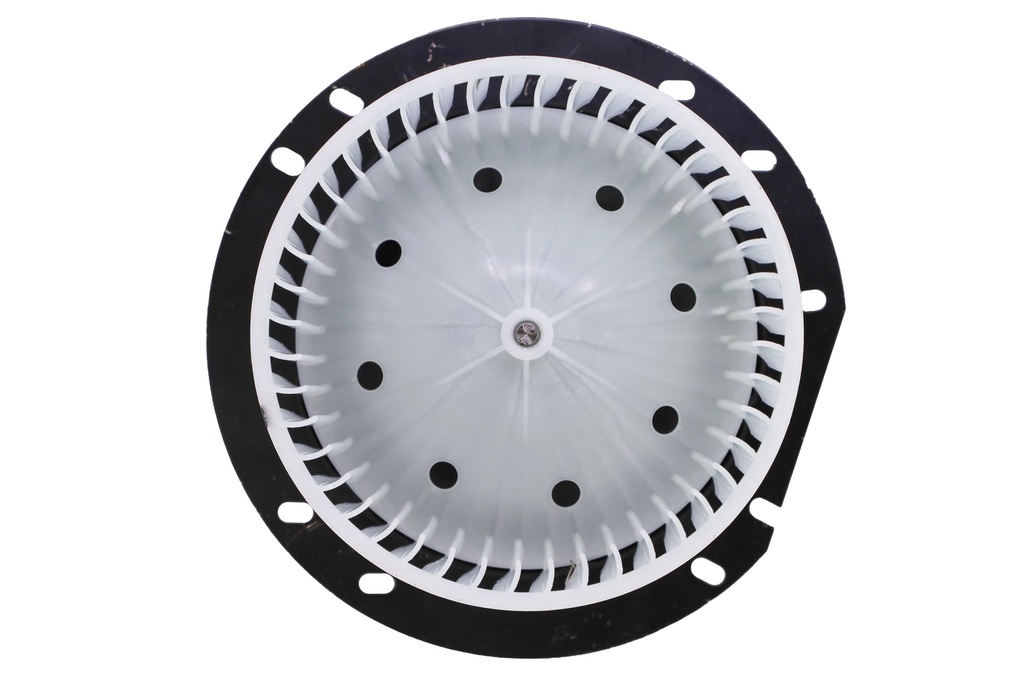 Blower, Motor, W/ Fan
