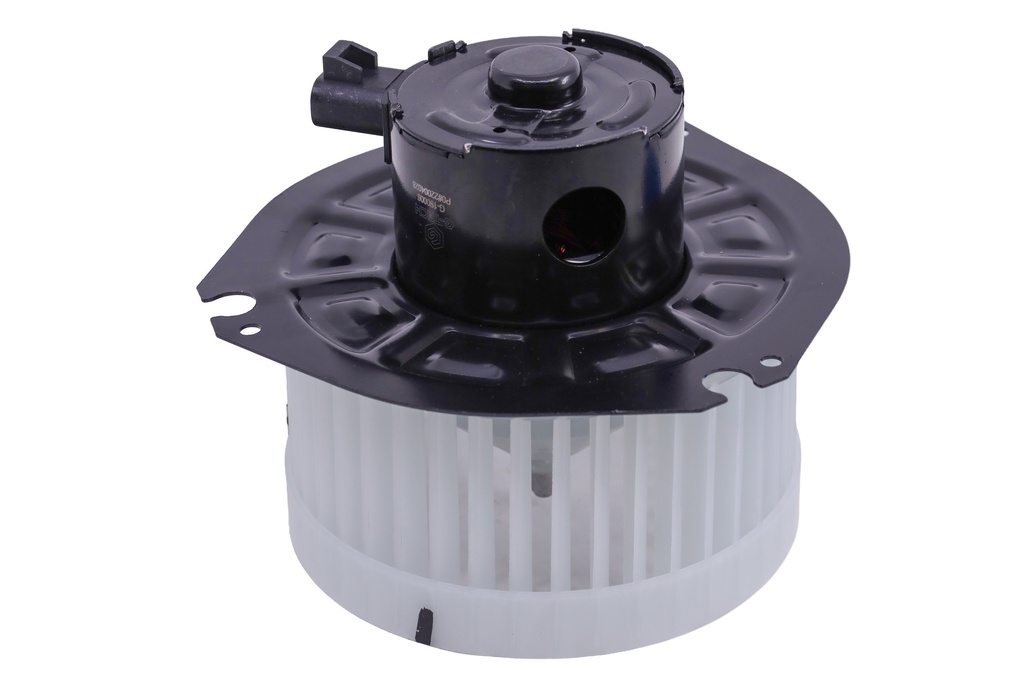Blower, Motor, With Fan