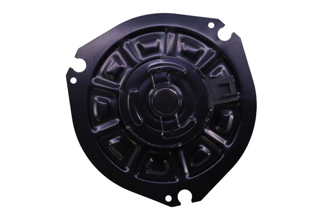 Blower, Motor, With Fan
