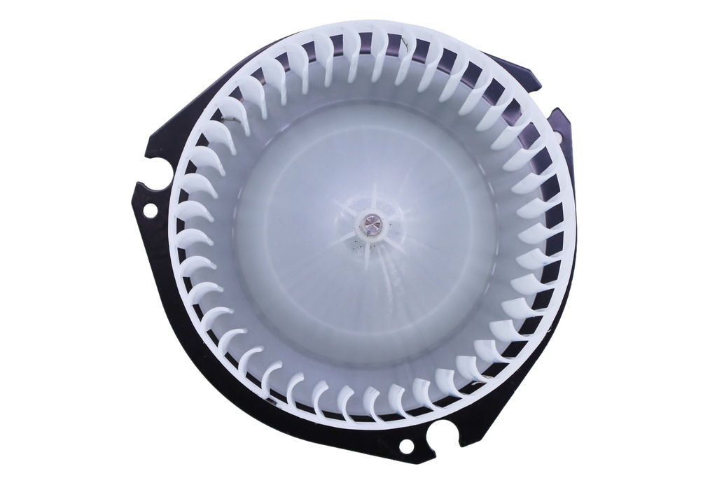 Blower, Motor, With Fan