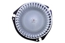 Blower, Motor, With Fan