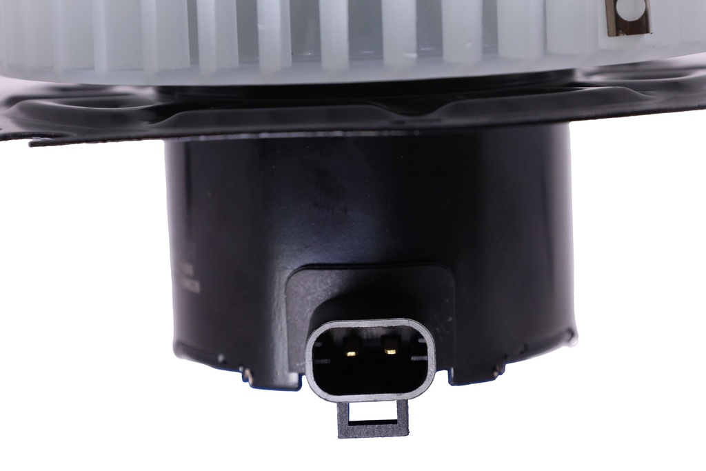 Blower, Motor, With Fan