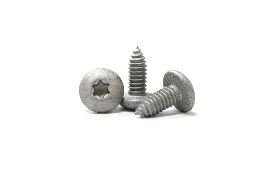 Screw Truss Head 1/4-20 X 5/8,T30