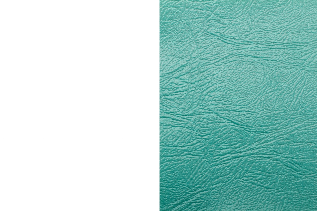 Cover Assy,39 Bk Dot/Tf Teal Grn W/Ow