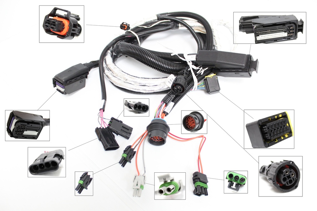 Harness,Wrg,Dcu Controls,Isb10 Bbcv