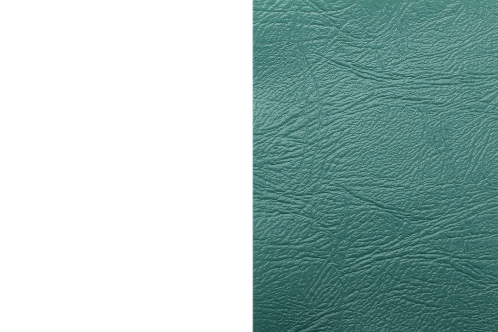 Blue Bird Cushion 39 42Oz Teal (79 & Up)