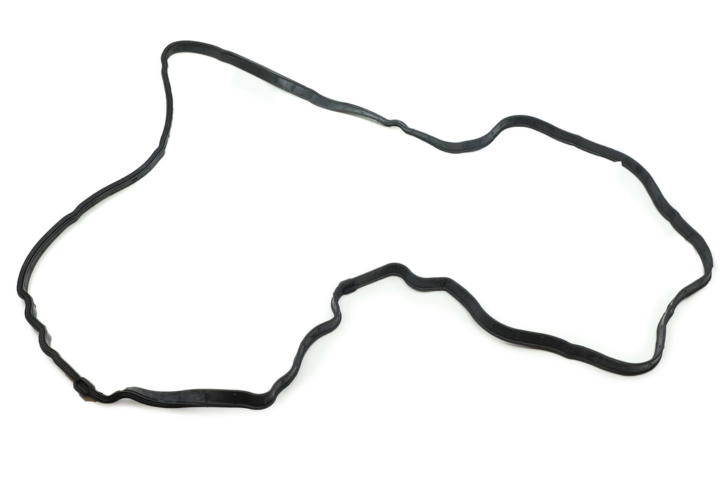 Gasket,Plastic Valve Cover,Lh