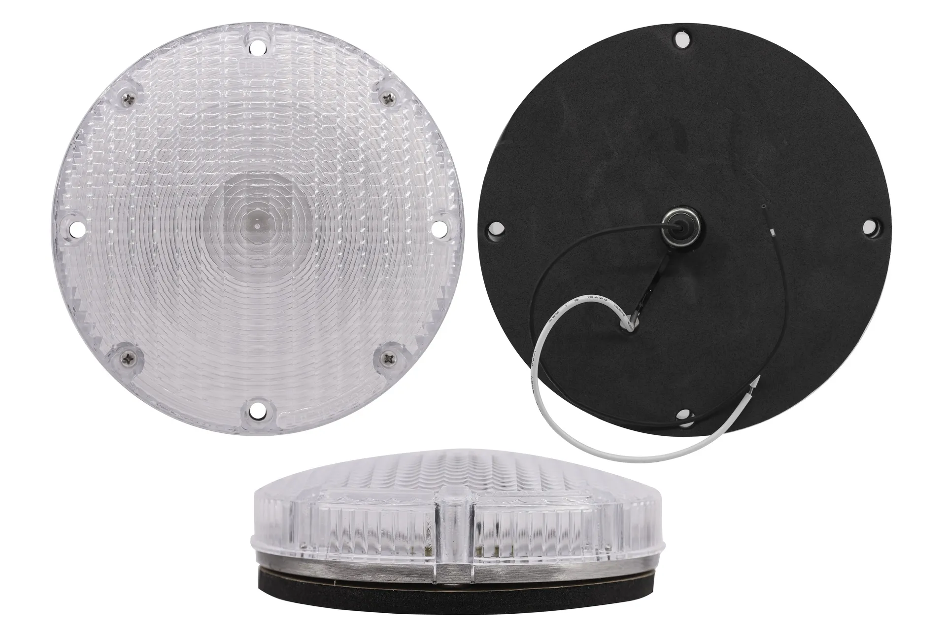 Back Up Light White 7In Ss