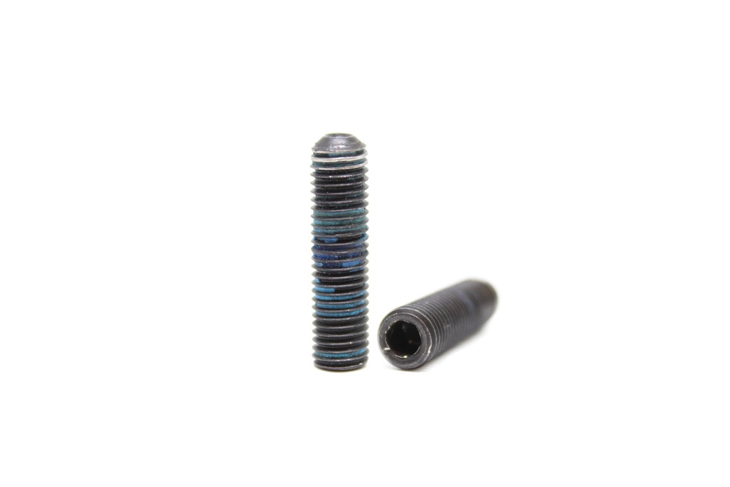Set Screw For Hinge Lock