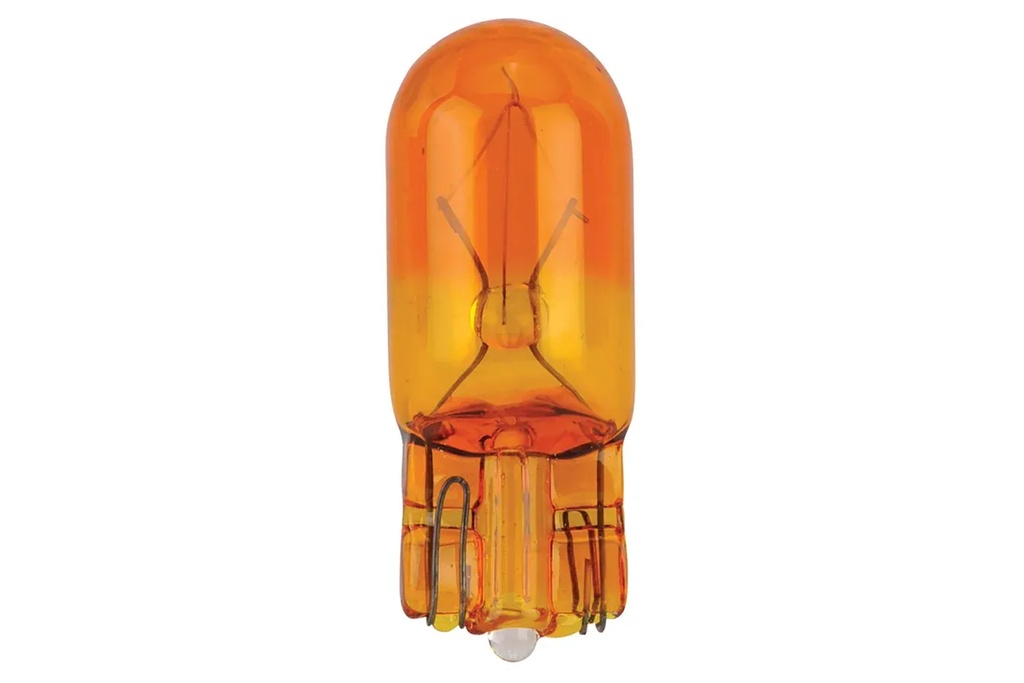 Bulb, Incan, 194A