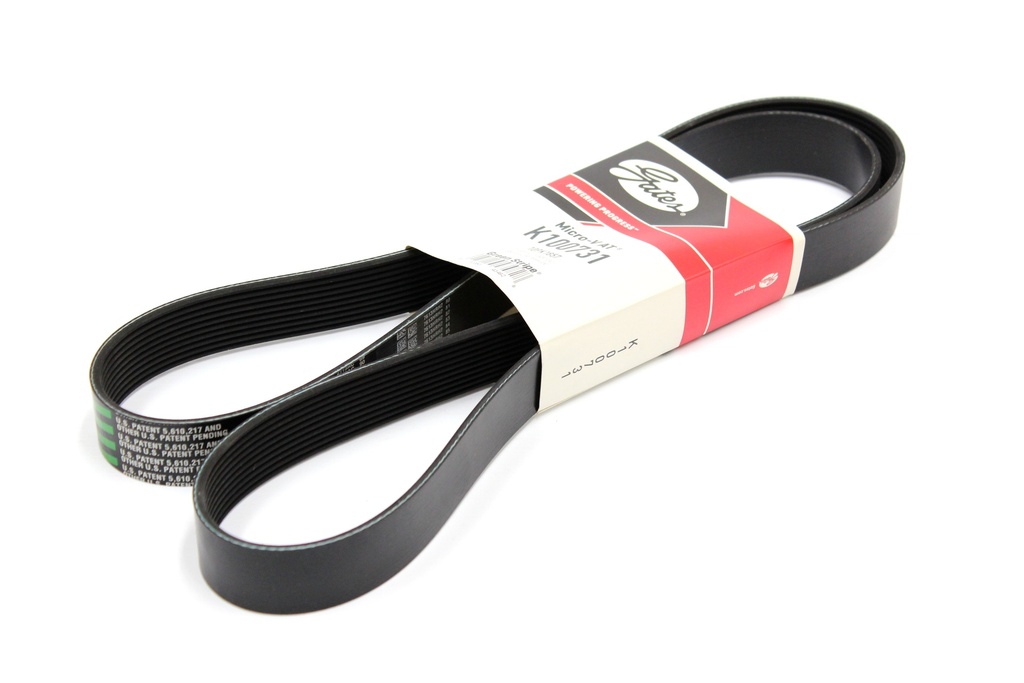 Belt Maxforce Dt 08/