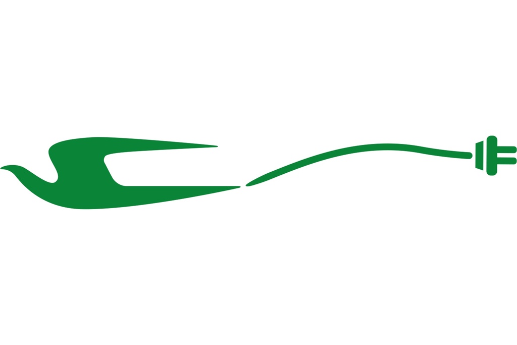 Decal,Electrique,Oiseau,Vert,Ga