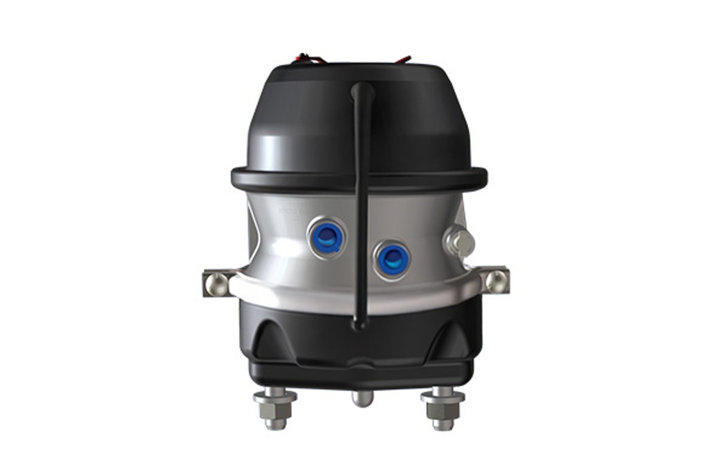 Chamber,Brake,Air Disc,Rear   [M-24]