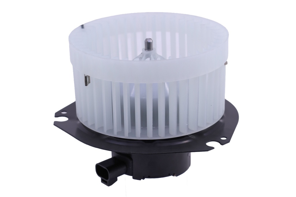 Blower, Motor, With Fan