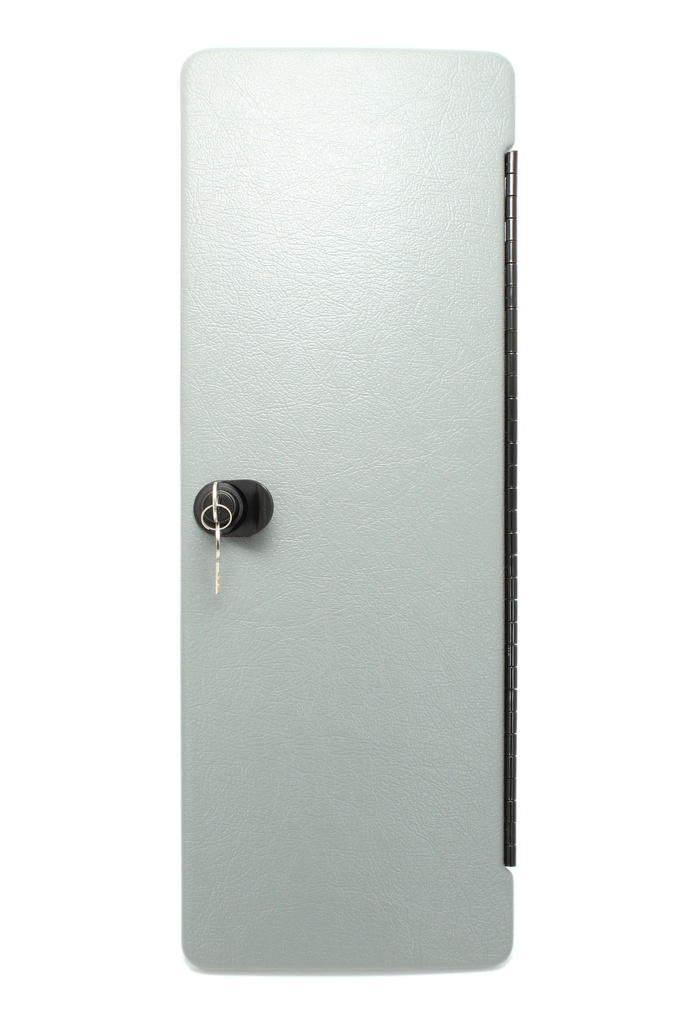 Door Assy,Glove Box,W/Hinge And Latch Da