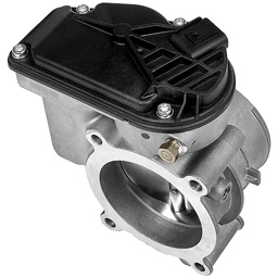 Throttle bodies