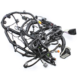 Engine harness
