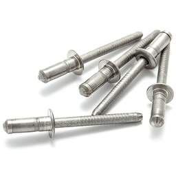 Rivets