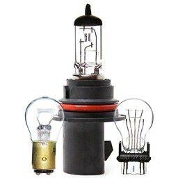 Bulbs