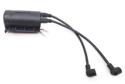 Coil Ignition 12V Dbw 2010
