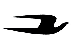 Decalque Oiseau Droit