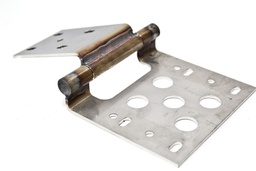 Assy Hinge Rear Hand. Door 2000