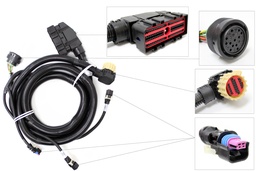 Harness,Wrg,Trans,Gen 4,2000 Ser Bbcv