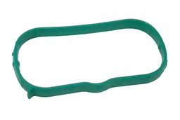 Gasket Intake
