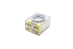 Fusible 100 Amp