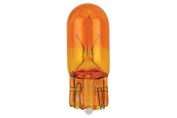 Bulb, Incan, 194A