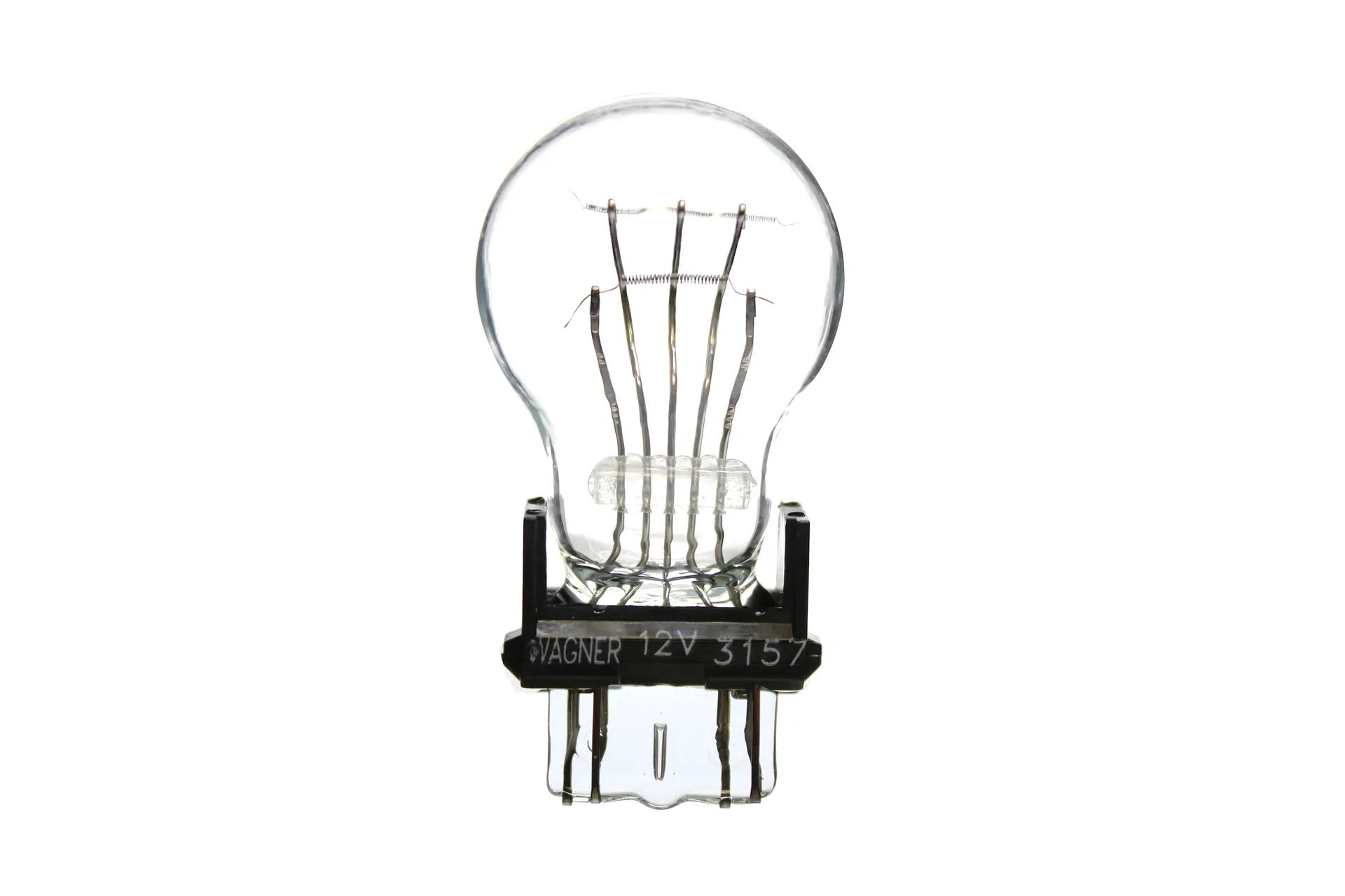 Bulbs