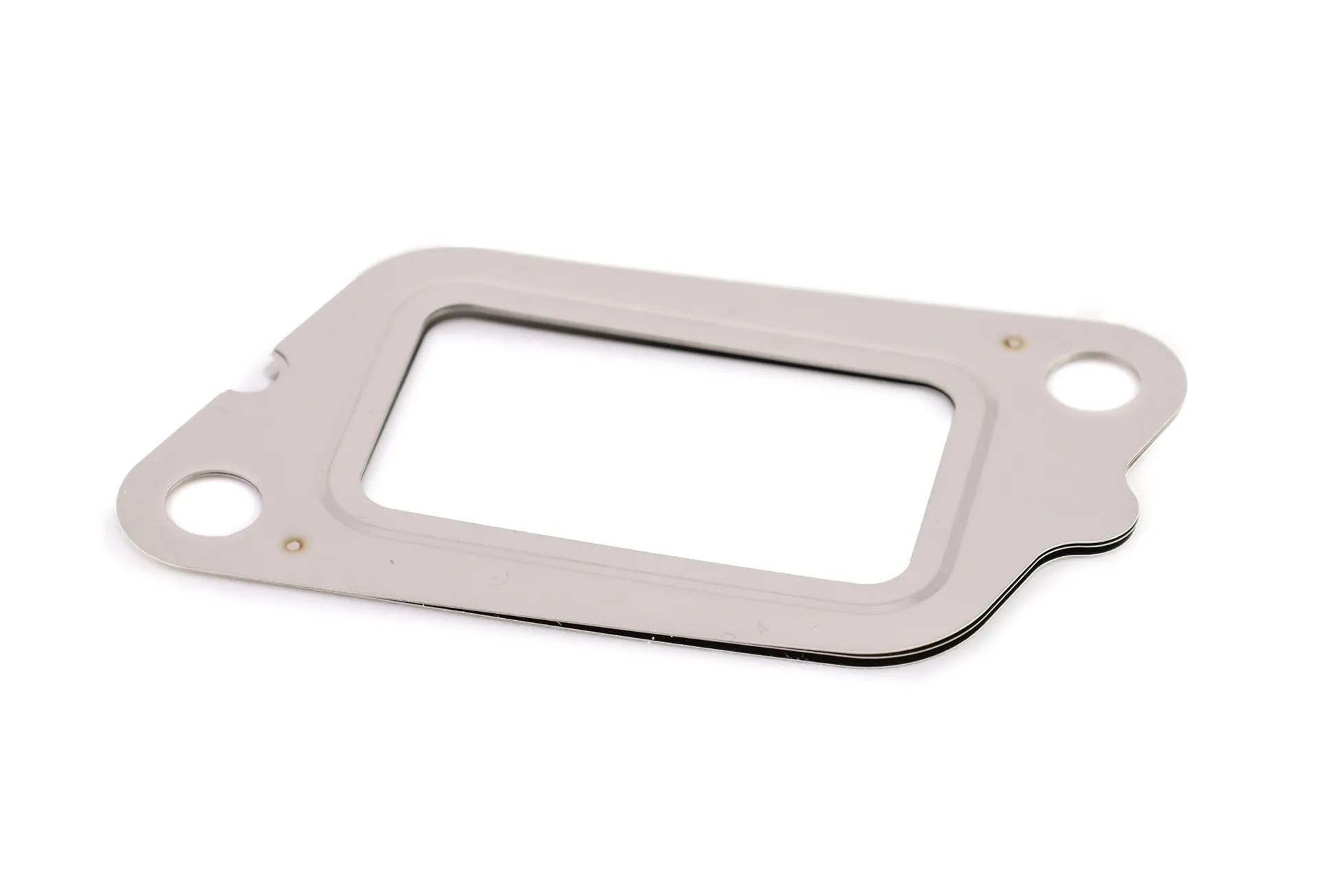 Gasket,Egr Valve,Inlet