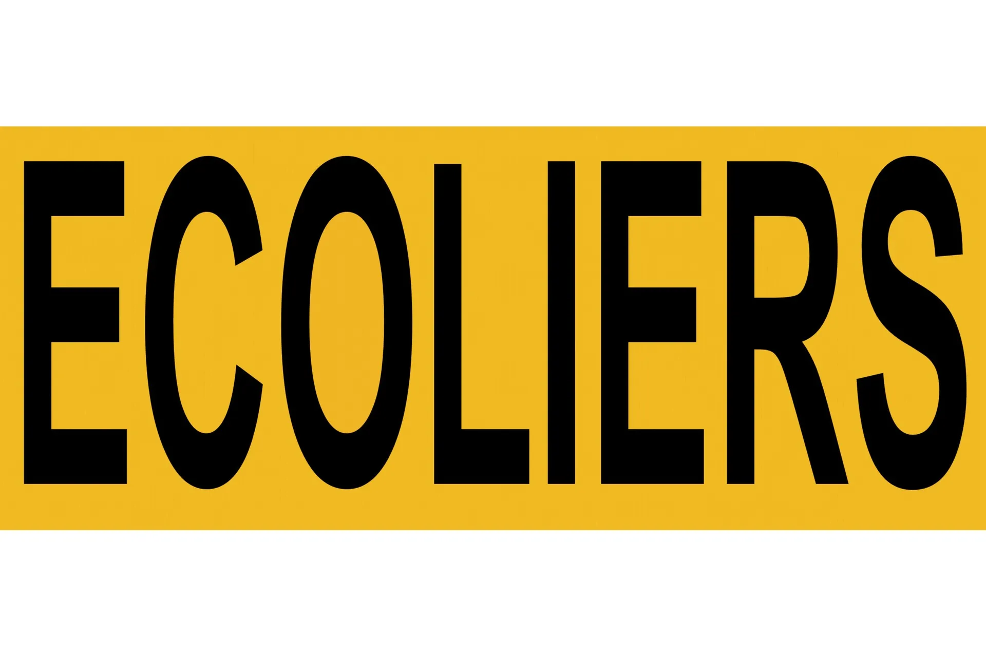 Sticker,"Ecoliers",8 In Ltrs,Reflec